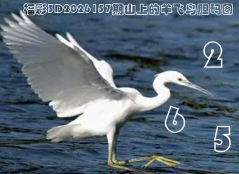 1.png 1.png